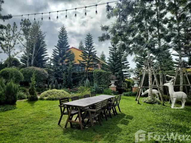 place photo 46
