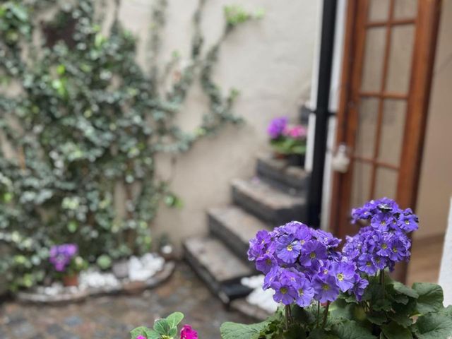 place photo 34