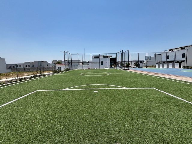 place photo 31