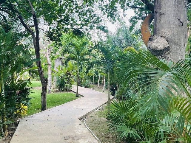 place photo 26