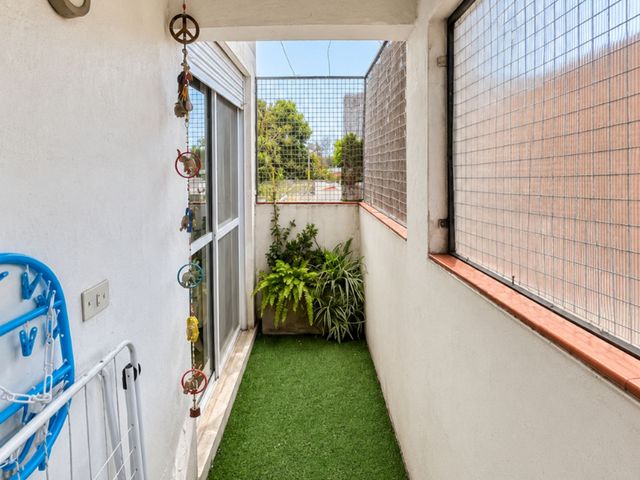 place photo 38