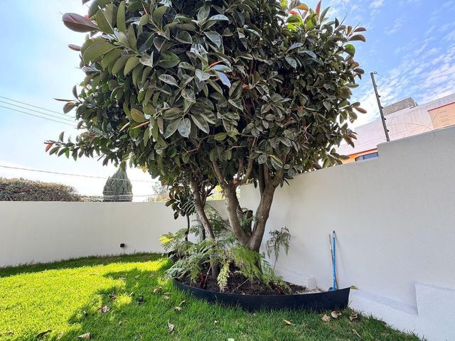 place photo 45