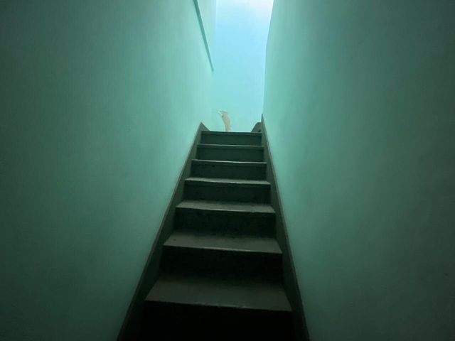 place photo 31