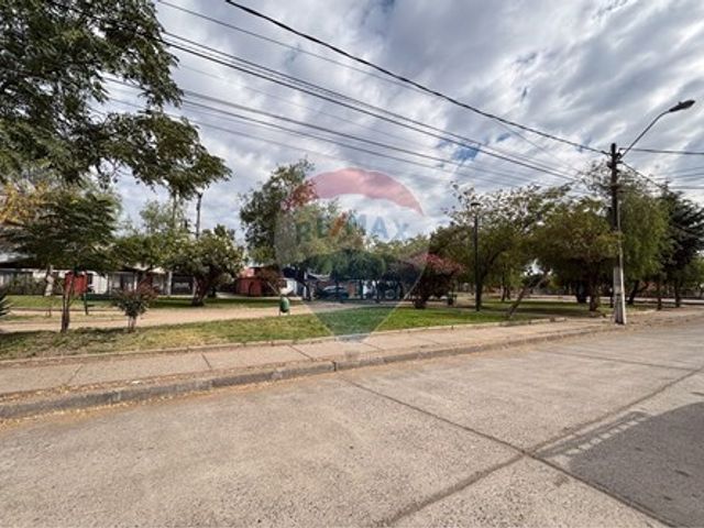place photo 23