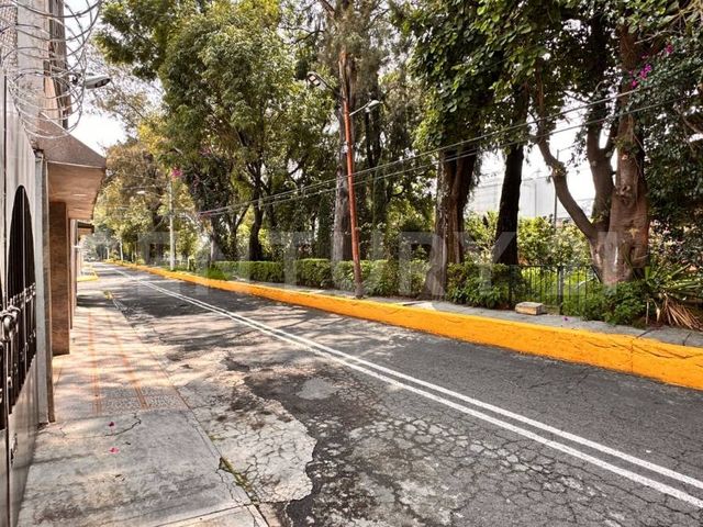 place photo 38