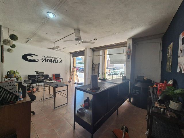 place photo 10