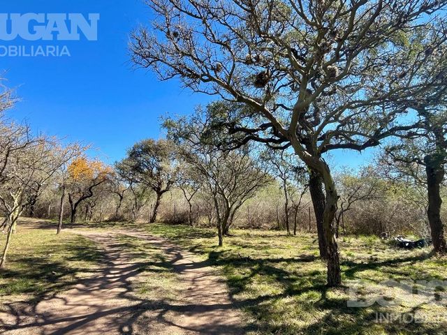 place photo 47