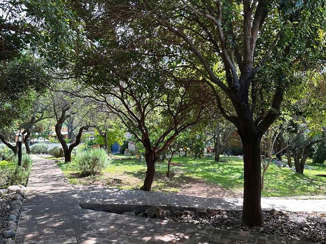 place photo 49