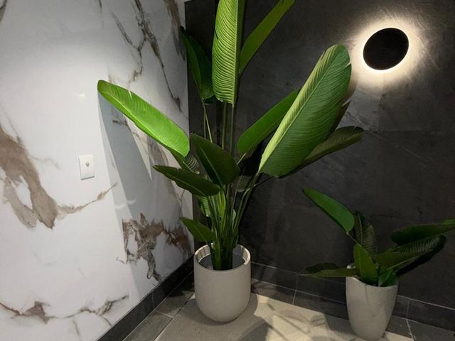 place photo 43