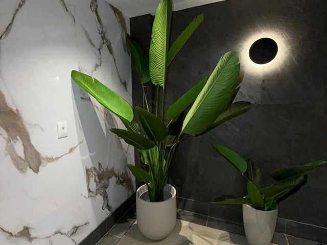 place photo 42