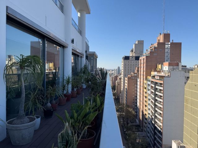 place photo 46