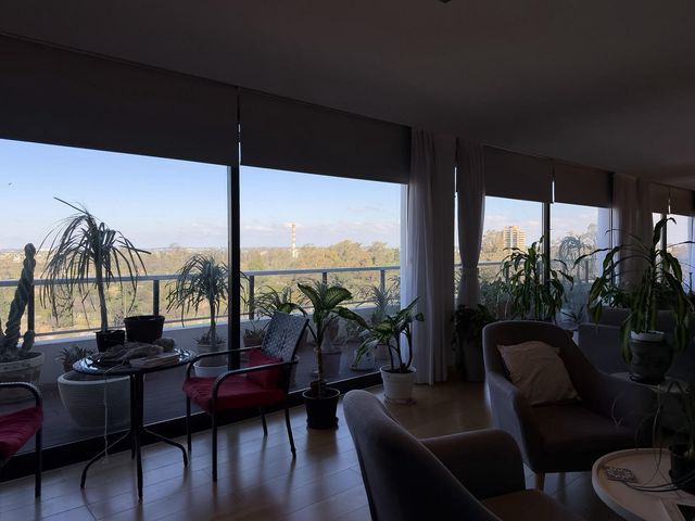 place photo 41