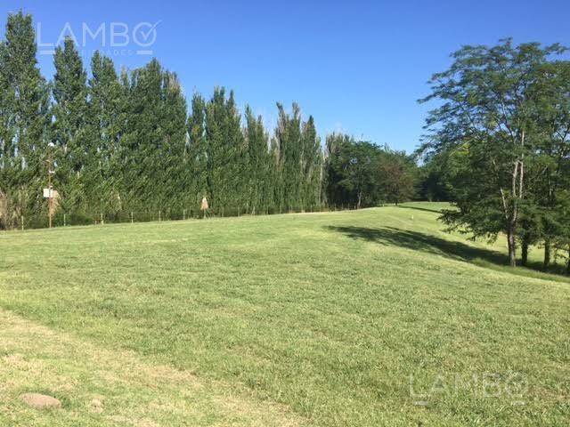 place photo 46