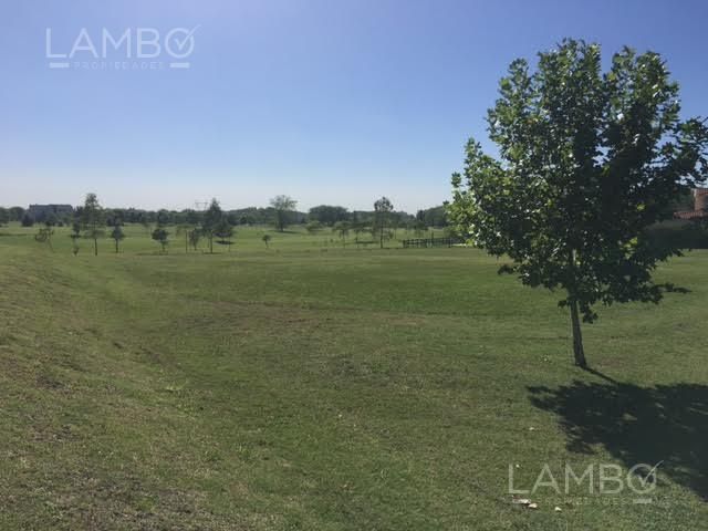 place photo 44