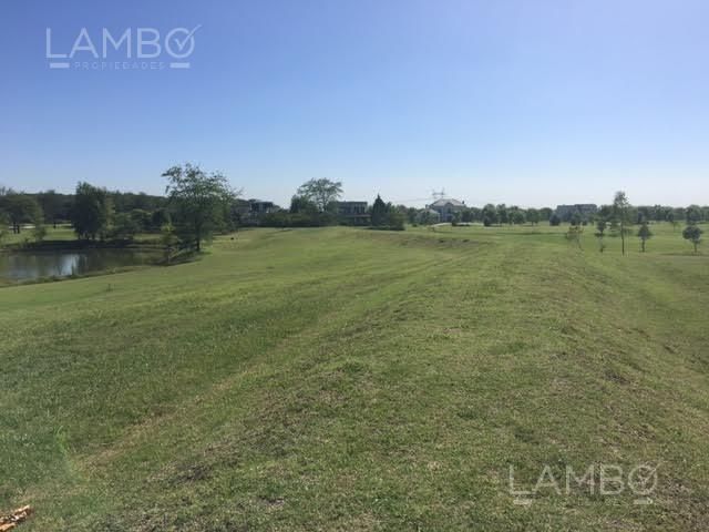 place photo 45