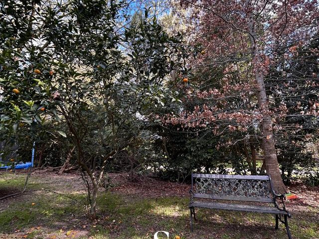 place photo 32