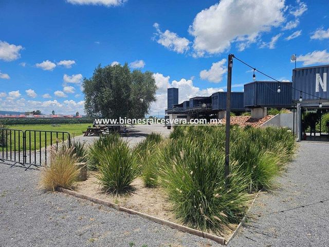 place photo 16