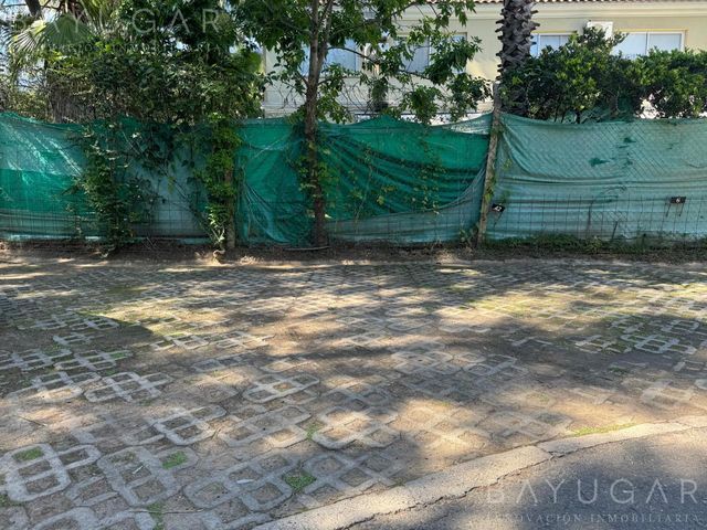 place photo 35