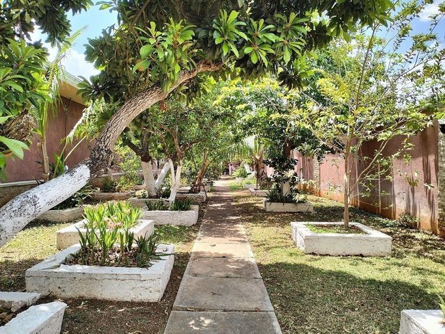 place photo 32
