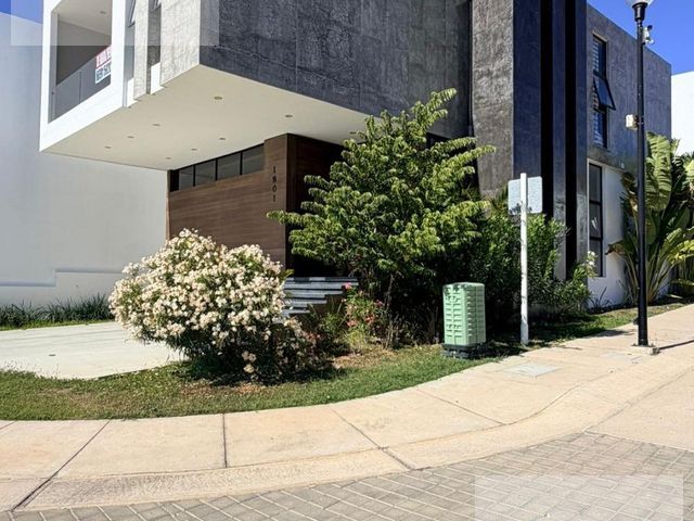 place photo 35
