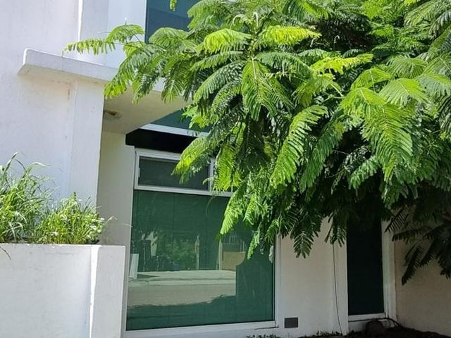 place photo 39