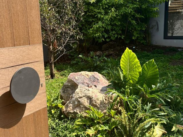 place photo 38
