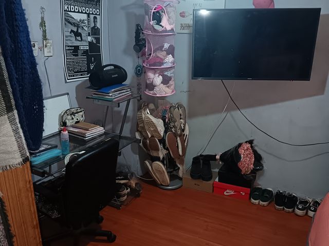 place photo 24