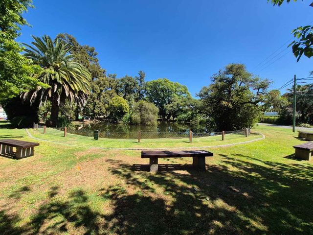 place photo 37