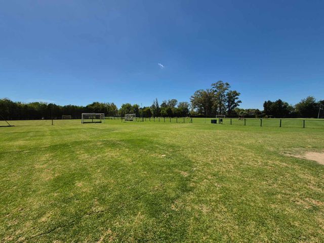 place photo 47