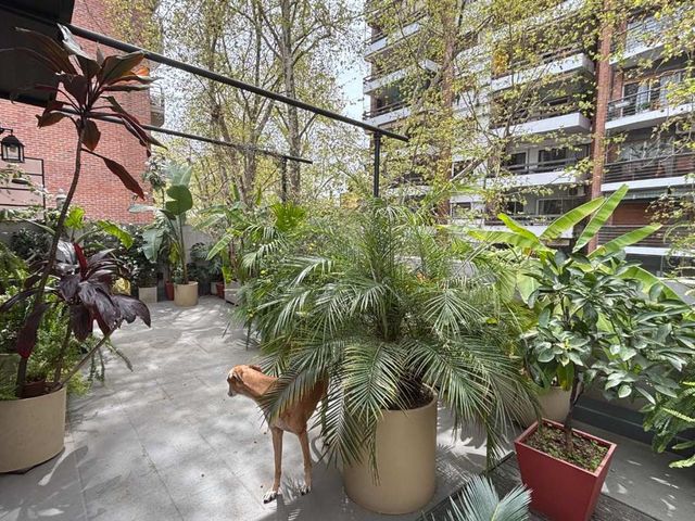 place photo 47