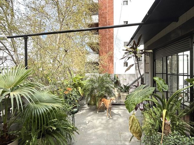 place photo 50