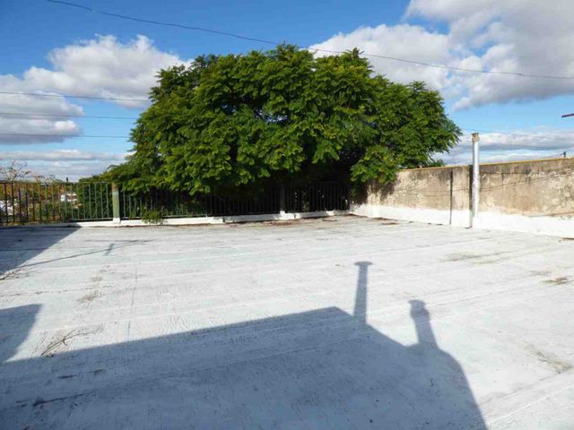 place photo 26