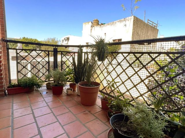 place photo 21