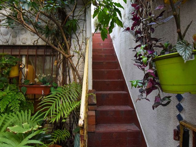place photo 32