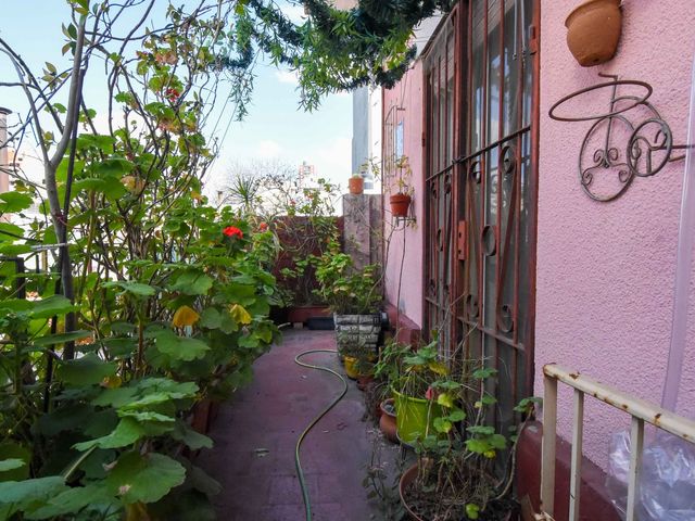 place photo 36