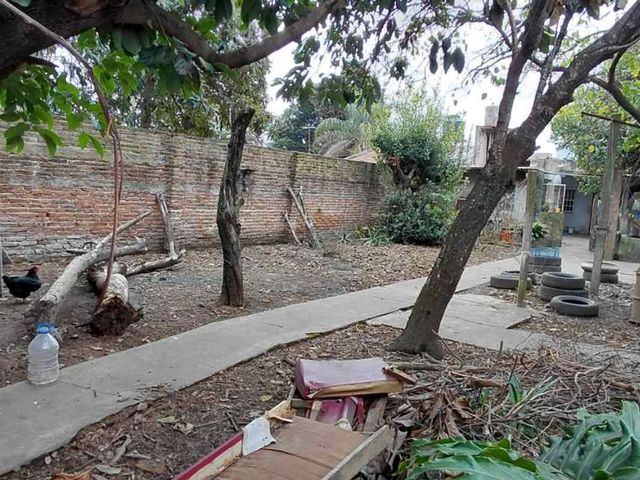 place photo 13