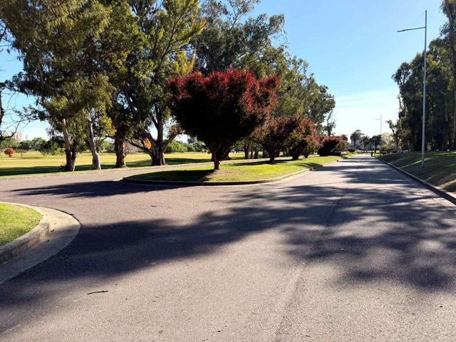 place photo 47