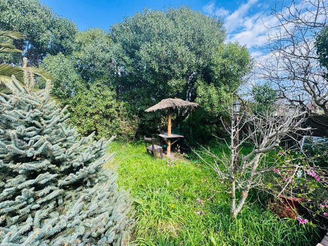 place photo 50