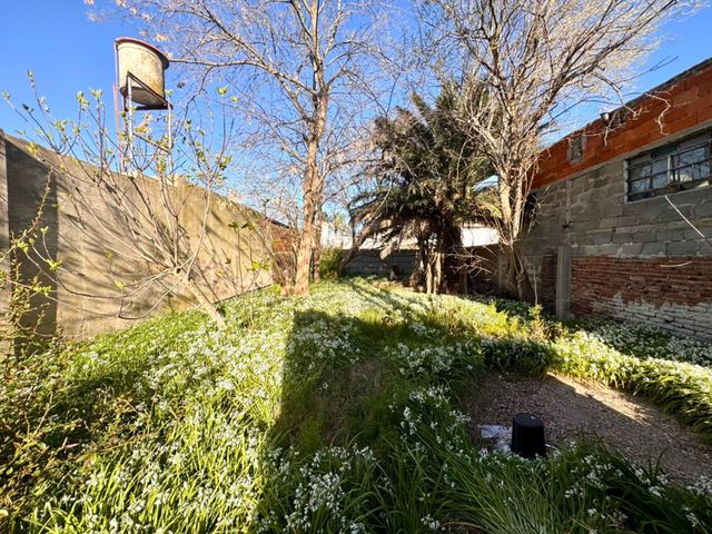 place photo 17