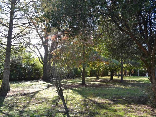 place photo 78