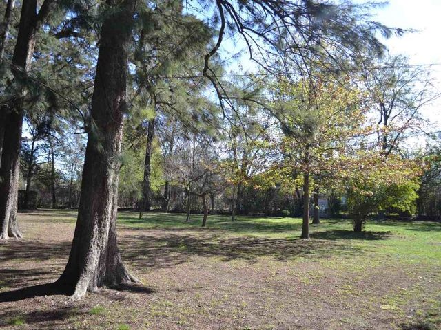 place photo 65