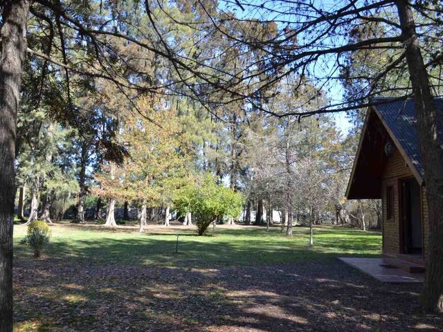 place photo 71