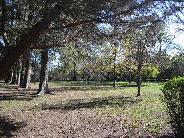 place photo 61