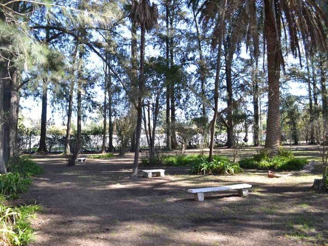 place photo 87