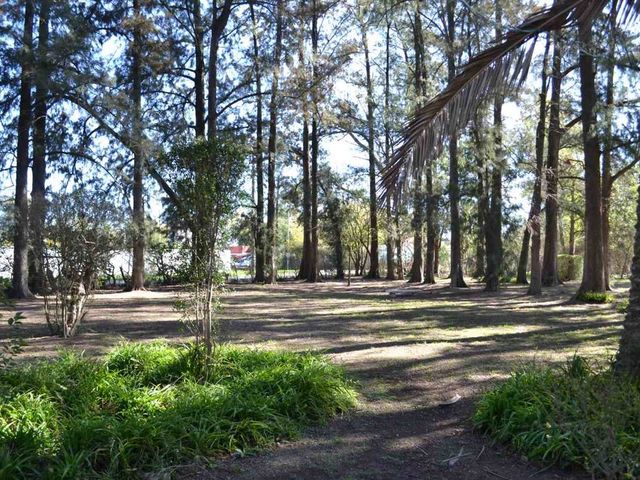 place photo 88