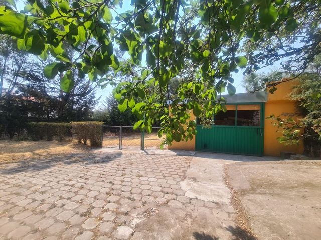 place photo 41