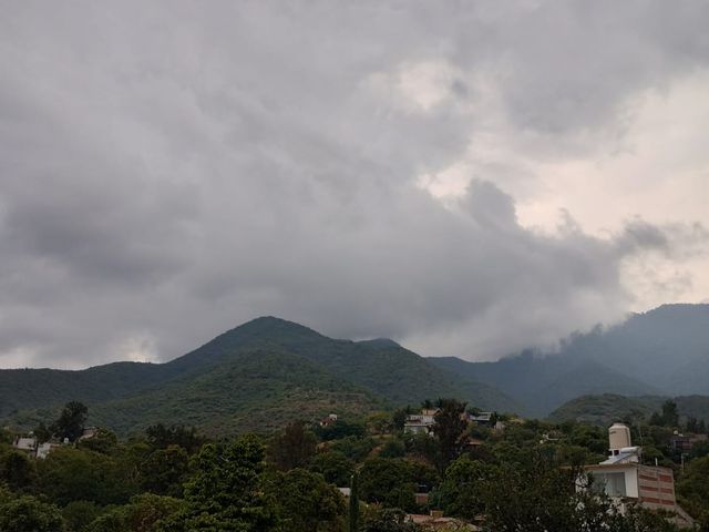 place photo 34