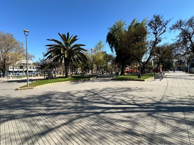 place photo 22