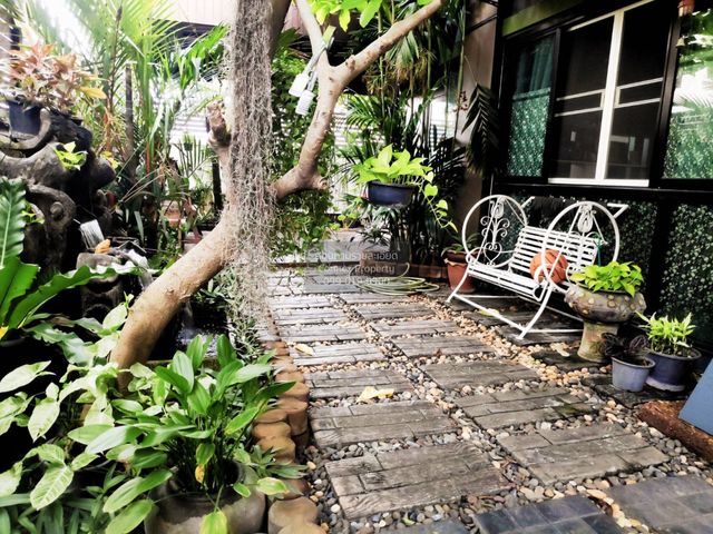 place photo 39