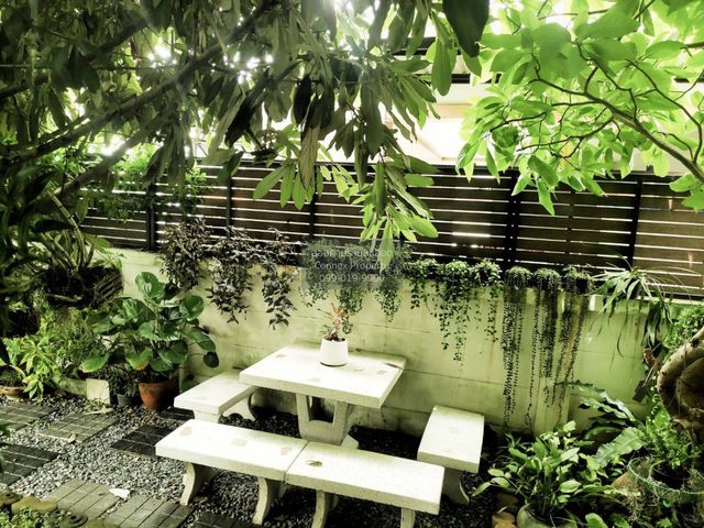 place photo 40